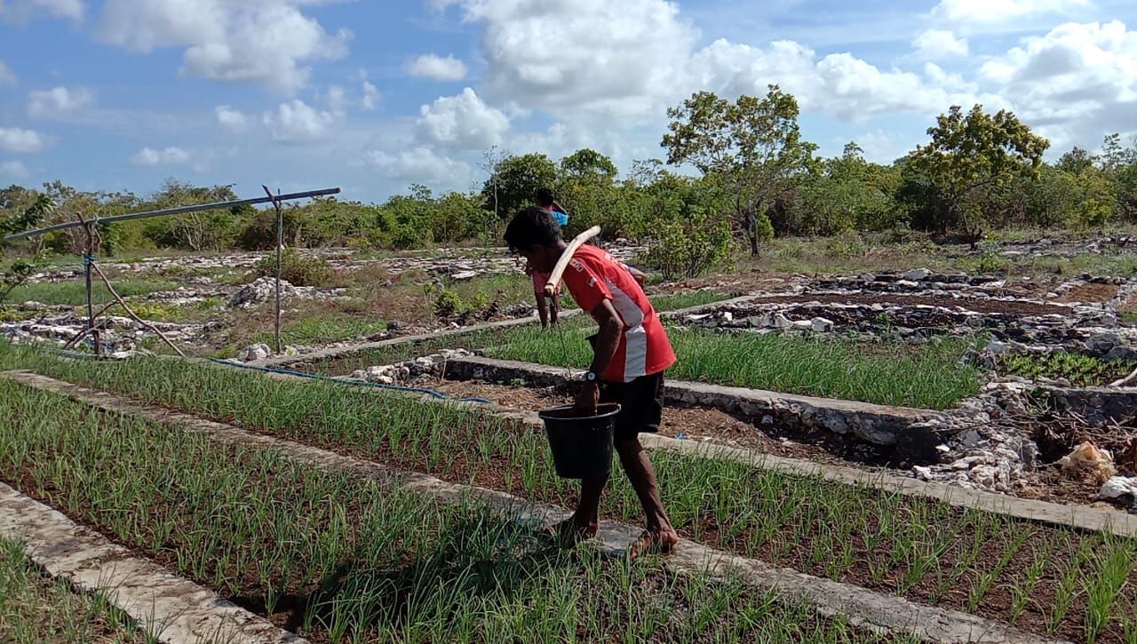 Copy of Kety Letpei - Bawang 3