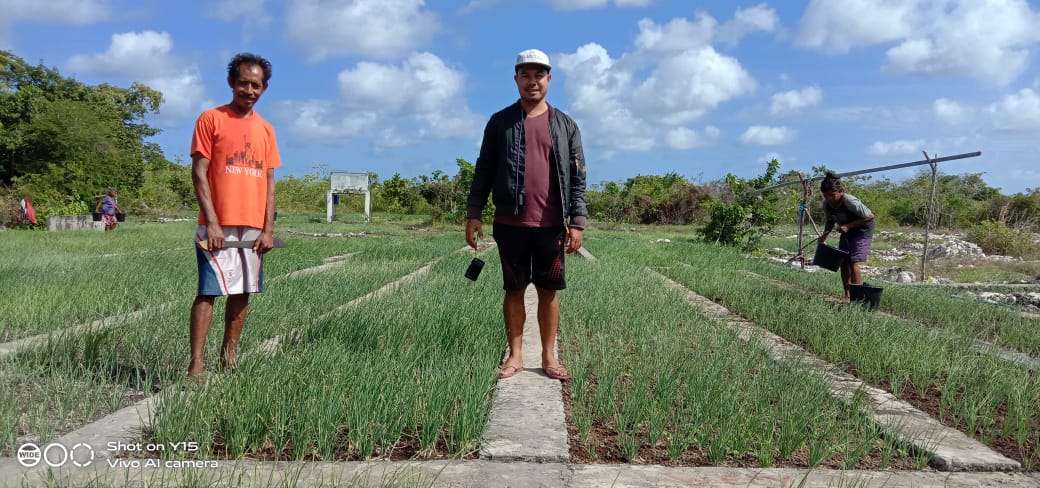 Copy of Kety Letpei - Bawang 4