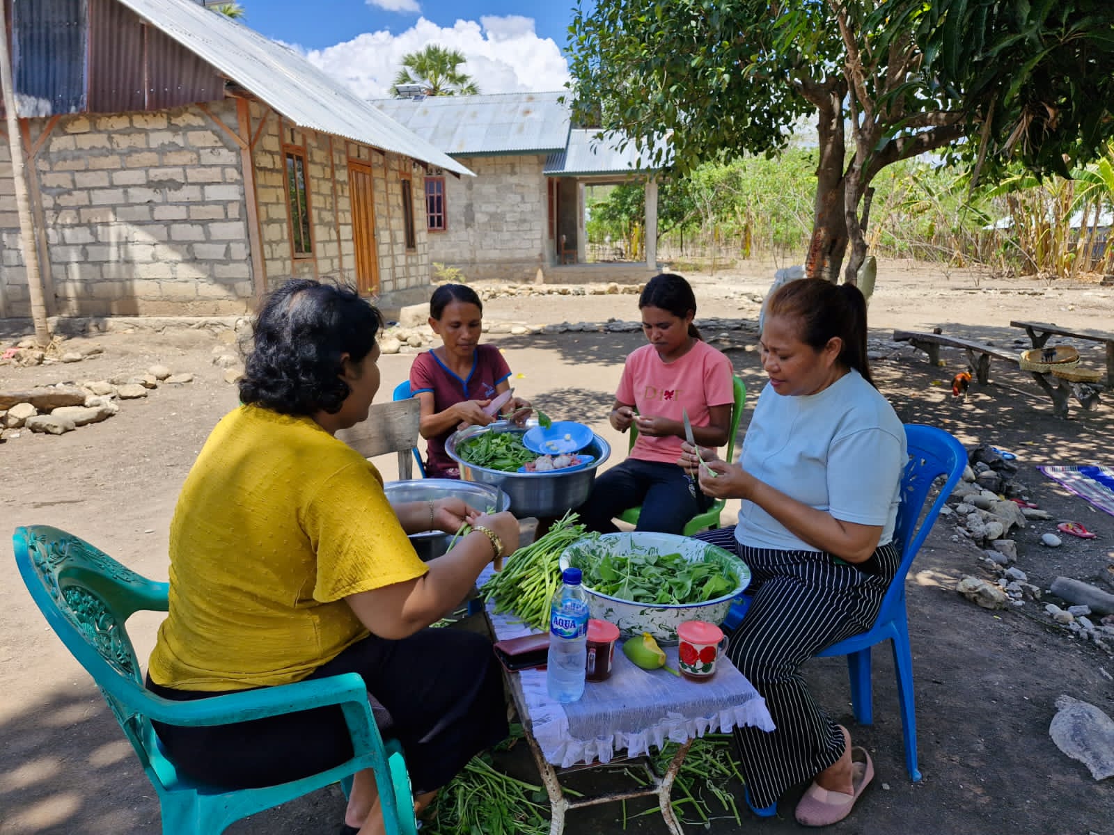 Copy of PHOTO-2023-12-05-13-41-58