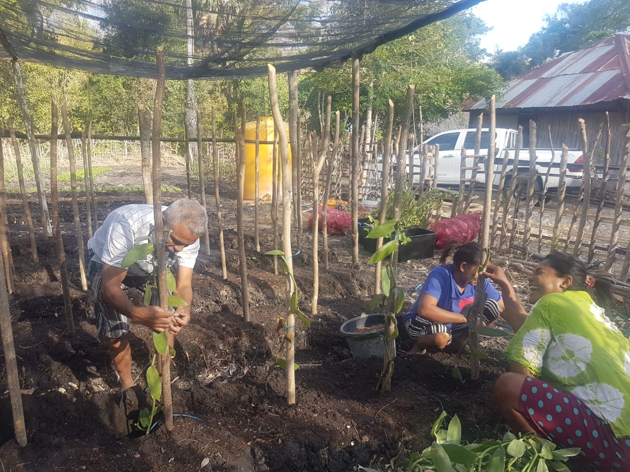 Copy of Tunbaun - Vanili 3